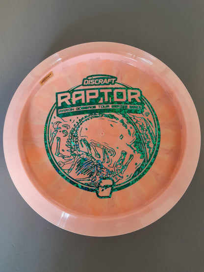 Tour Series Raptor