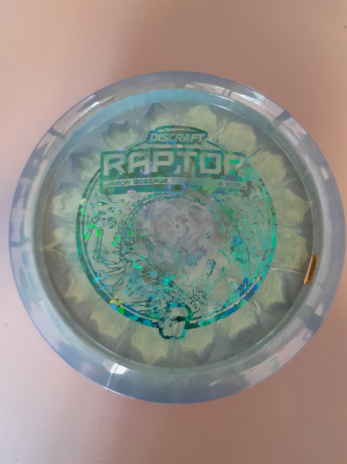 Tour Series Raptor