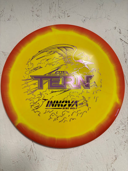 Halo Star Tern