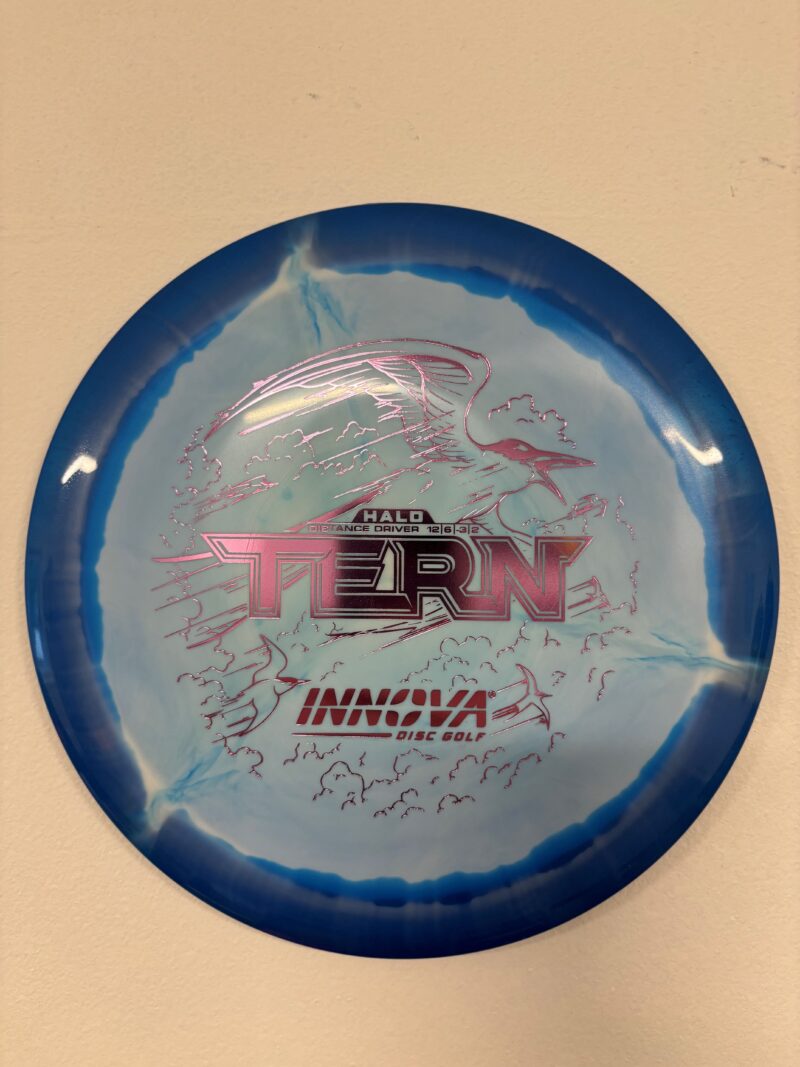 haloter.jpg Halo Star Tern