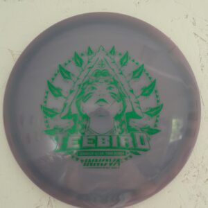 teel.jpg Champion Color Glow Teebird Jen Allen